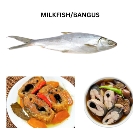 Milkfish Bangus Whole  500-800g