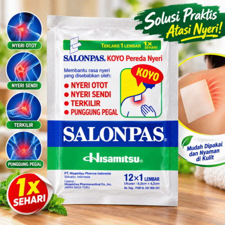 Hisamitsu Salonpas Pain Relief Patches 12 pcs