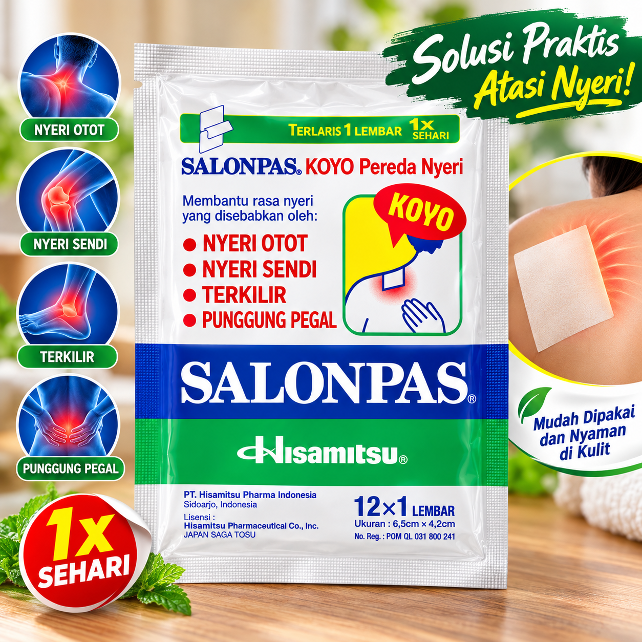 Hisamitsu Salonpas Pain Relief Patches 12 pcs
