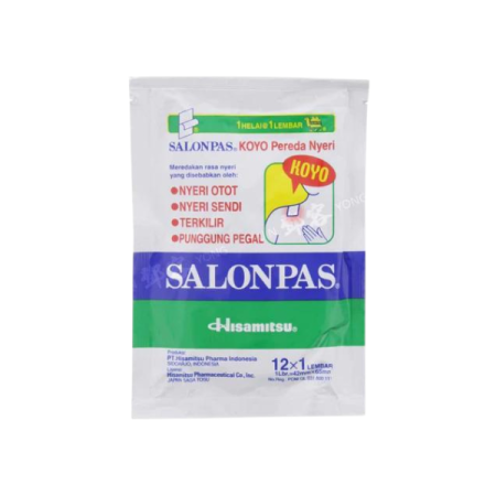 Hisamitsu Salonpas Pain Relief Patches 10 pcs