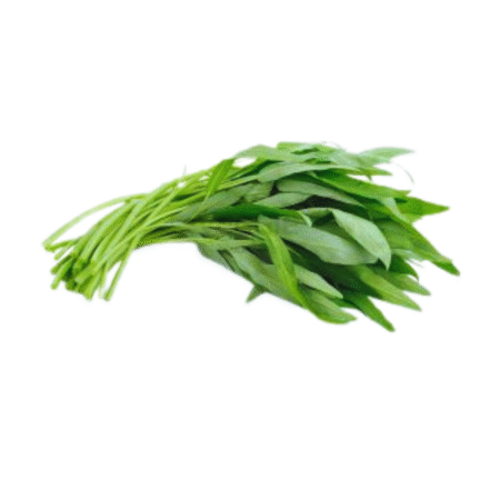 Fresh Kangkong (Water Spinach / Morning Glory)
