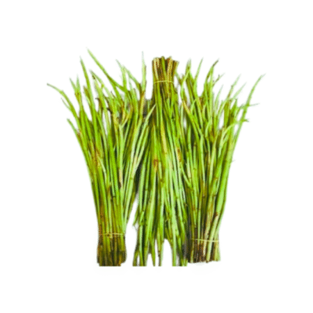 Fresh Gabi Runner (Taro Root Stem)