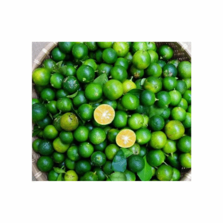 Fresh Calamansi