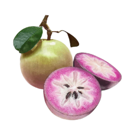 Fresh Star Apple (Kaimito / Milk Fruit)