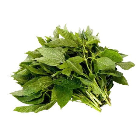 Jute Leaves (Saluyot)