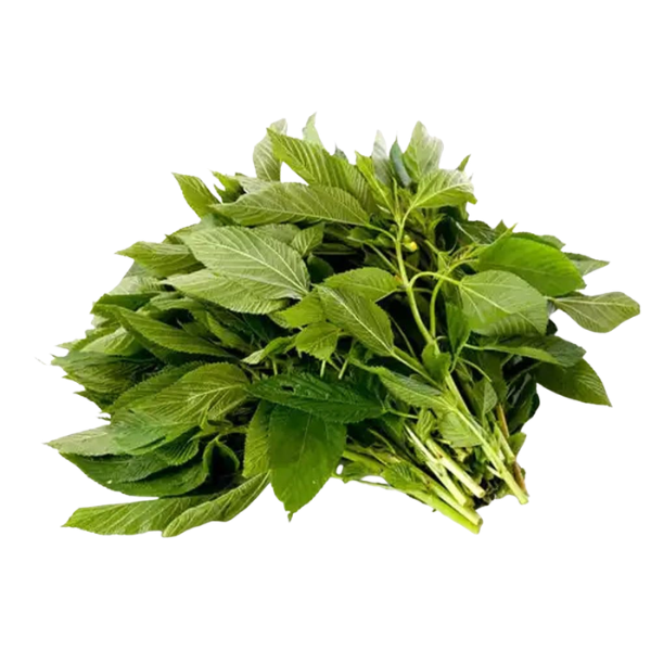 Jute Leaves (Saluyot)