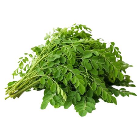 Fresh Malunggay Leaves (Moringa Leaves)