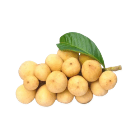 Lanzones
